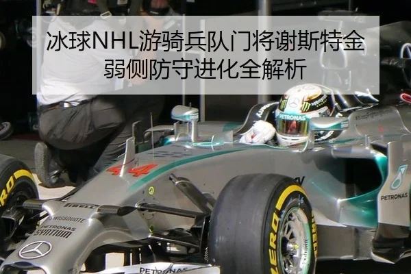 冰球NHL游骑兵队门将谢斯特金弱侧防守进化全解析