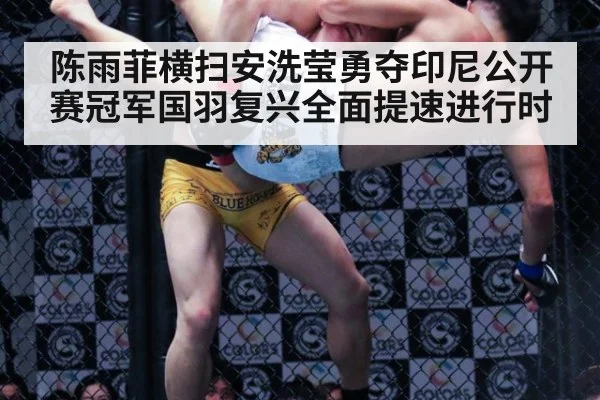 陈雨菲横扫安洗莹勇夺印尼公开赛冠军国羽复兴全面提速进行时